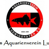 aquarienverein-ludwigshafen