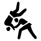 Judo-Club Ippon Ludwigshafen e. V.