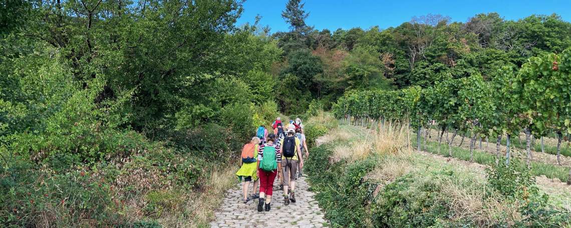 Wanderungen mit dem PWV LU-MA